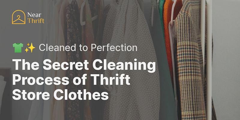 The Secret Cleaning Process of Thrift Store Clothes - 👕✨ Cleaned to Perfection