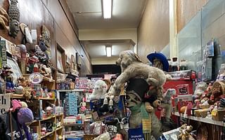 What are some alternatives to thrift stores?